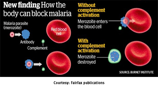 news-malaria-breakthrough-510-x-288